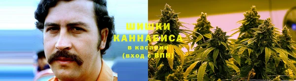 сатива Абдулино