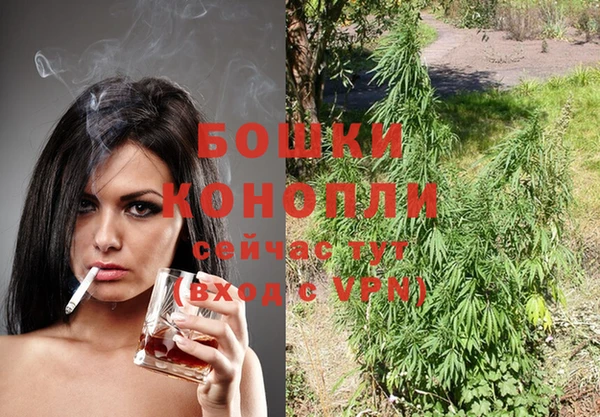 сатива Абдулино