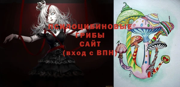 стаф Алексеевка